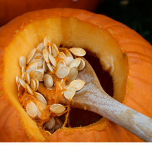 Man sieht einen geöffneten Kürbis, der gerade zu Halloween ausgehöhlt wird.