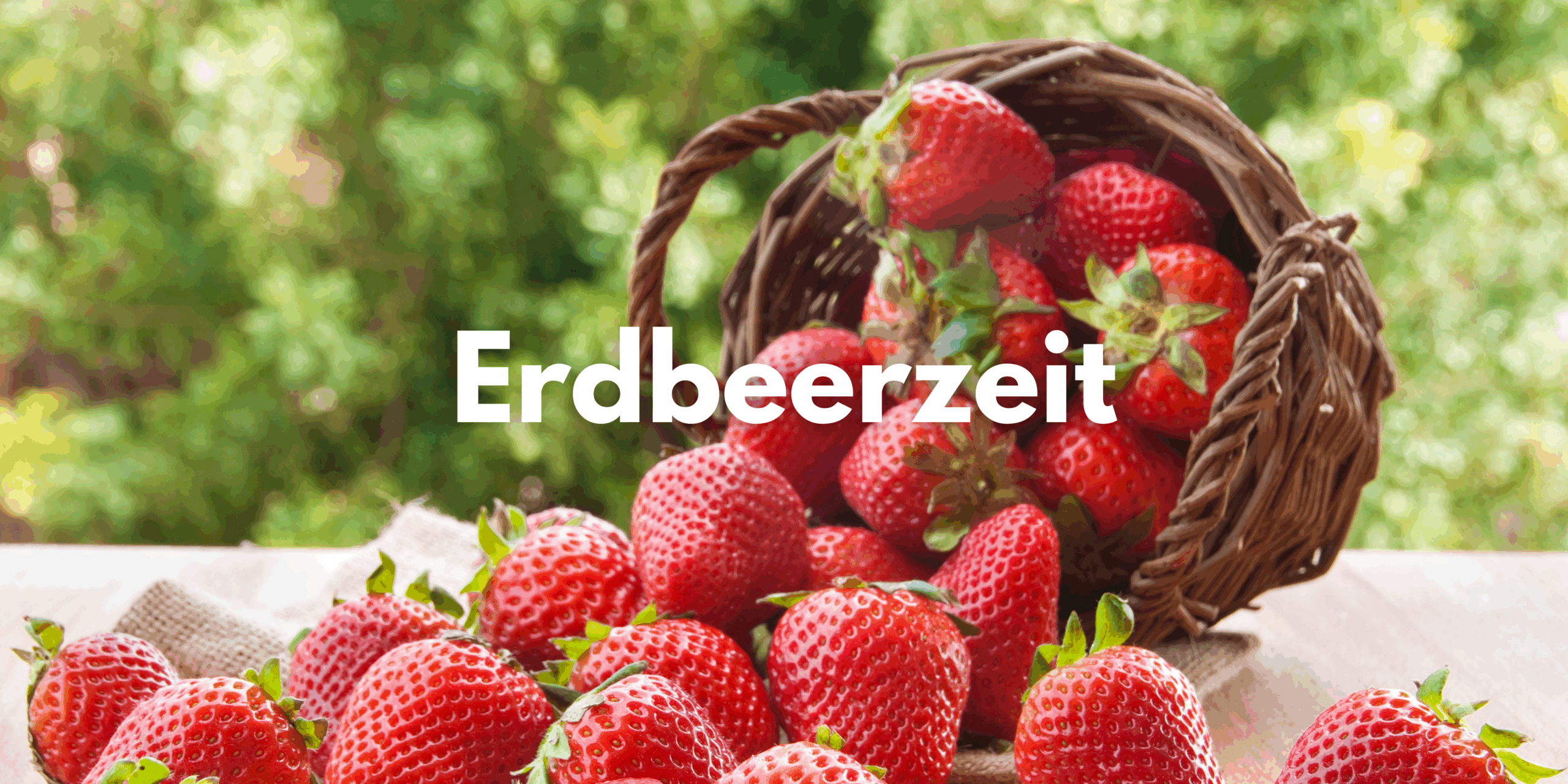Man sieht einen umgekippten Korb gefüllt mit Erdbeeren für das Erdbeer Blätterteig Dessert.