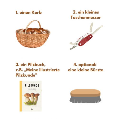 Pilzguide (3)