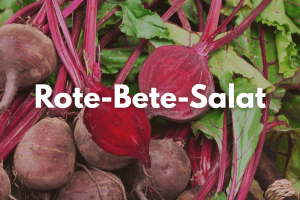 Zu sehen sind Rote Bete Pflanzen.
