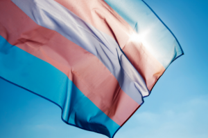 Transgender-Flagge