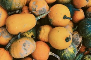 pexels-sasha-xenia-7209883 (1)